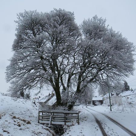 Forget Me Not Cottage Leadhills Exterior foto